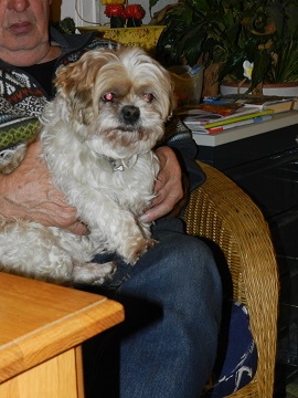 oh706