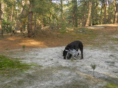 oh944