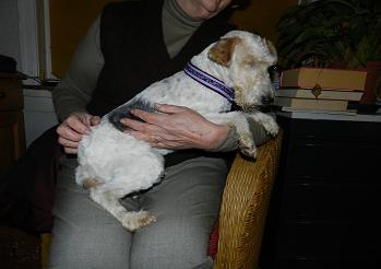 paddy3