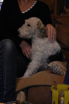 paddy54