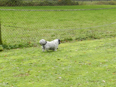 puck3