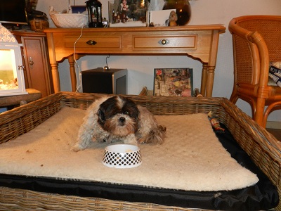 puck9