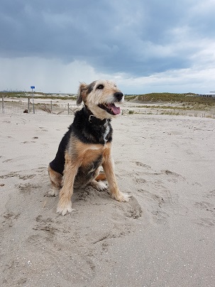 Sandy kerst 2020