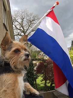yakie koningsdag