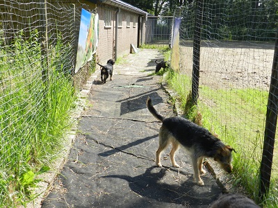 suni54