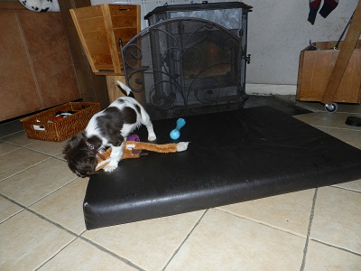 TT192