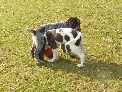 TT270