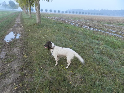 tess3